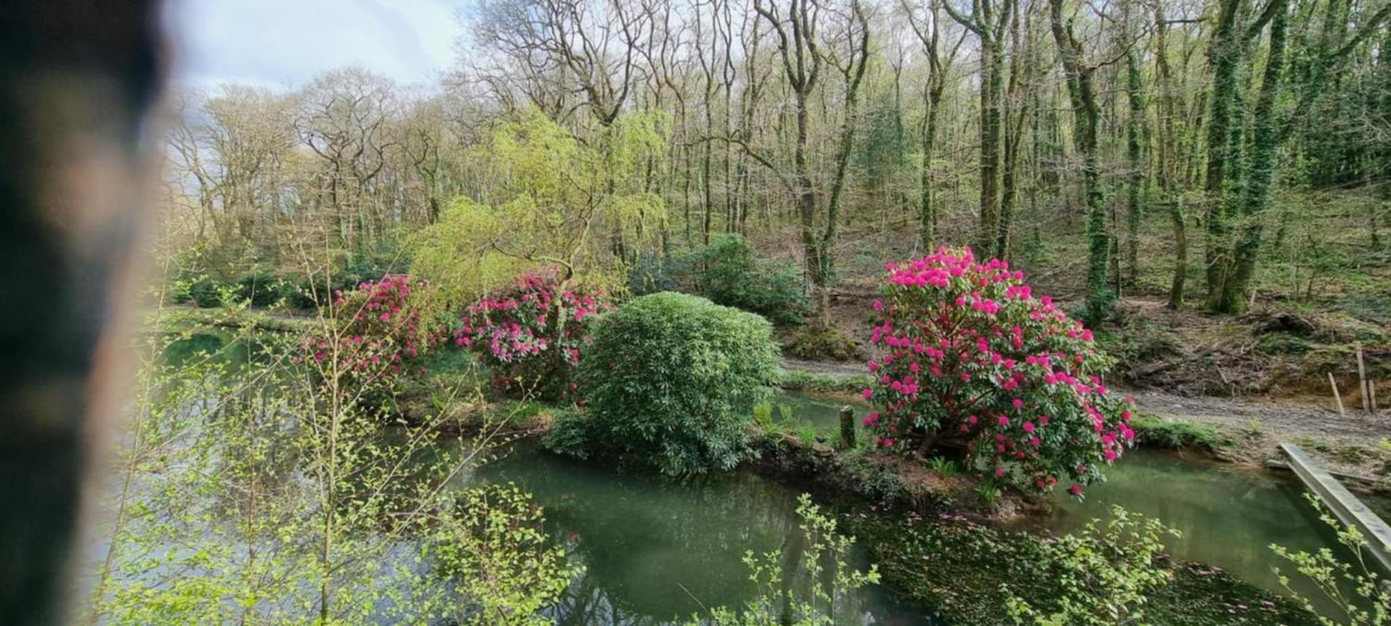Great Trethew Manor Hotel & Self Catering Lodges Лискерд Экстерьер фото